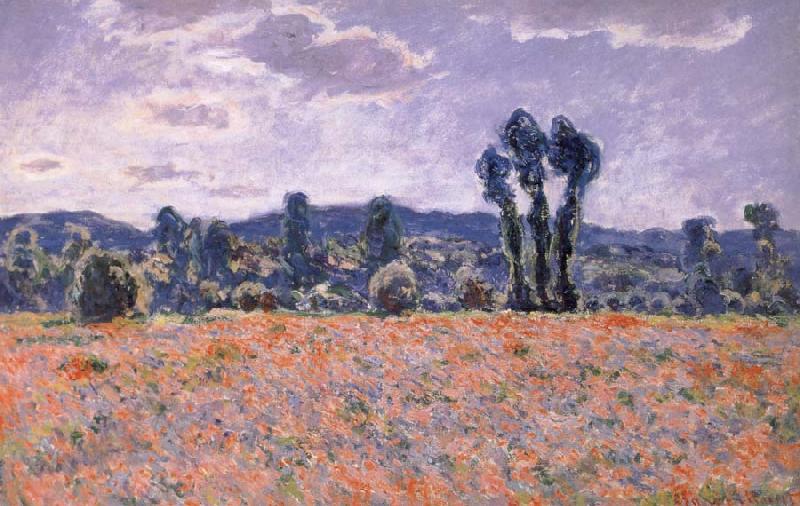 Claude Monet Poppy Field in Bloom